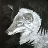 Telegram profile photo for Stockpile Repertoire (graveyard of past)