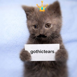 Telegram profile photo for gothictears