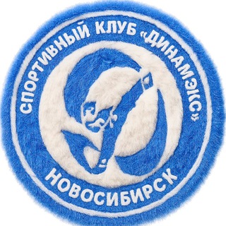 Telegram profile photo for СК «ДИНАМЭКС»