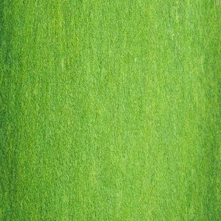 Telegram profile photo for Green Dot Dot 點點綠