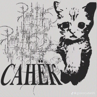 Telegram profile photo for Осетин на метане