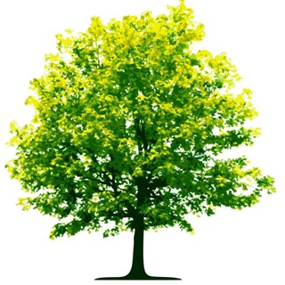 Telegram profile photo for Environment Notes EVS Notes Study Material PDF Previous Year Question Paper