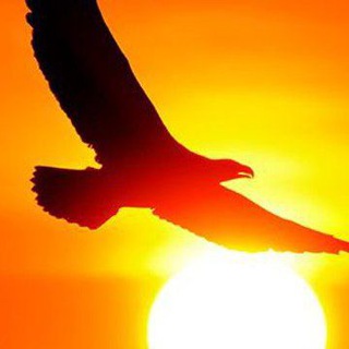 Telegram profile photo for بـــشـــ📡ــــارتـــــی