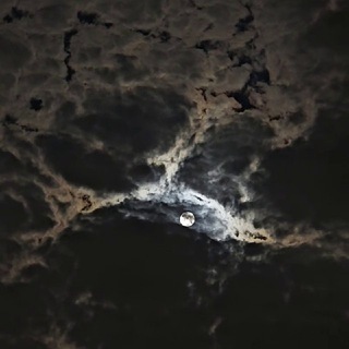 Telegram profile photo for MOONHEAD 🌚(band)
