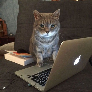 Telegram profile photo for WHYFED