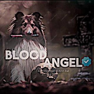 Telegram profile photo for Кровавые ангелы🩸