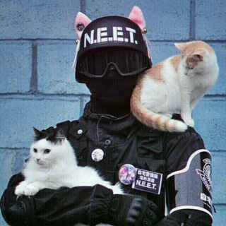 Telegram profile photo for Стічна канава