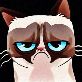 Telegram profile photo for 😂Убойный Юмор +