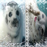 Telegram profile photo for Бассейн spnx⁴²