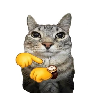 Telegram profile photo for Serena Alpha calls