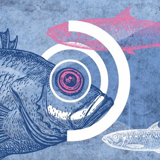 Telegram profile photo for Campustag Rostock 2021