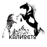 Telegram profile photo for КСК «Калиосто»