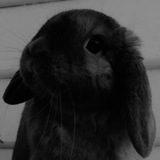 Telegram profile photo for π¦πβπ«π₯§