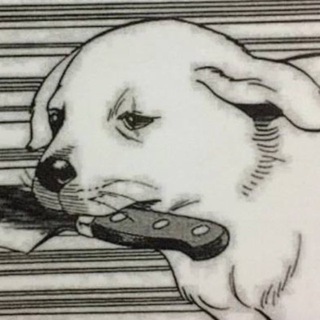 Telegram profile photo for wan wan
