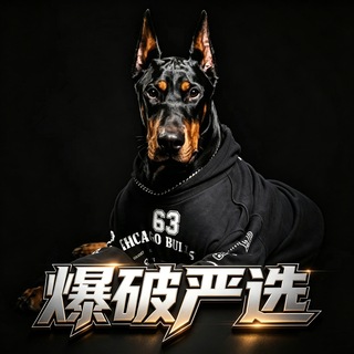 Telegram profile photo for 杭州爆破严选群(5.0涅槃重生)