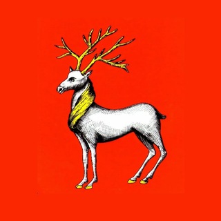 Telegram profile photo for Ростов Великий