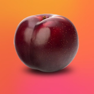 Telegram profile photo for SEO sliv