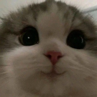 Telegram profile photo for 📍ФРИЛАНС📍 КЛИЕНТЫ💸