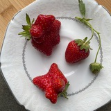 Telegram profile photo for 7chocolat не только шоколад