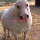 Telegram profile photo for работа на удалёнке