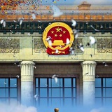 Telegram profile photo for ACAA_广告日志记录