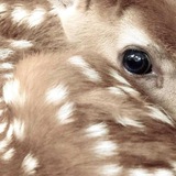 Telegram profile photo for базарище 🪽
