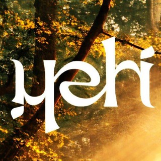 Telegram profile photo for 🦋 YEHI | Michele Blum | Bioscienze Sistemiche®