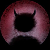 Telegram profile photo for лавры
