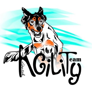 Telegram profile photo for Agility Team Lipetsk | Аджилити в Липецке 🐕🦺⚡️