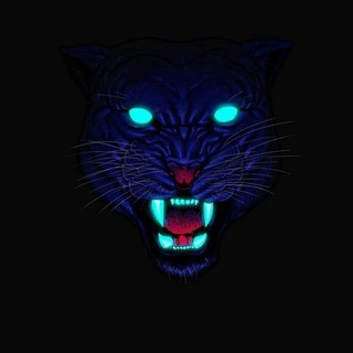 Telegram profile photo for ππ‘πͺπππππ¨ 1.70βοΈβ‘οΈ