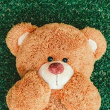 Telegram profile photo for Teddywordlove