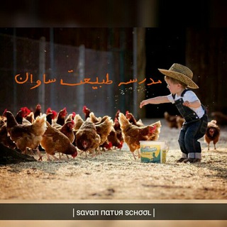 Telegram profile photo for Savan Nature School