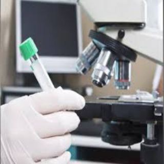 Telegram profile photo for تحليلات مرضية 🥼🔬💉