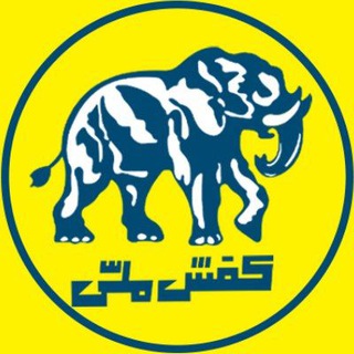 Telegram profile photo for ملی پوش