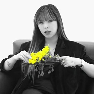 Telegram group profile photo for LPM WHEEIN