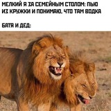 Telegram profile photo for Крипто юмор