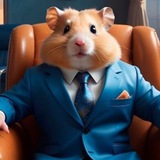 Telegram profile photo for Hamster Code Sibinism