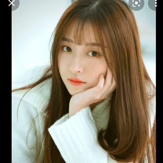 Telegram profile photo for 森泉報告區