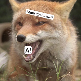 Telegram profile photo for Дзікія крыкі лісы