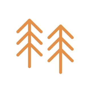 Telegram profile photo for Фестиваль НОВЛЯНКИ