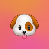 Telegram profile photo for puppy.