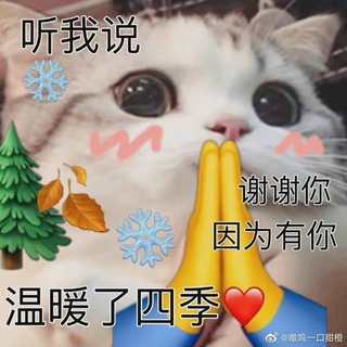 Telegram profile photo for 小姐姐展示频道