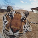 Telegram profile photo for Zion PORTAL