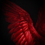 Telegram profile photo for 𝒎𝒊𝒌𝒆 | 𝒑𝒂𝒊𝒏𝒕𝒊𝒏𝒈𝒔 🇦🇱