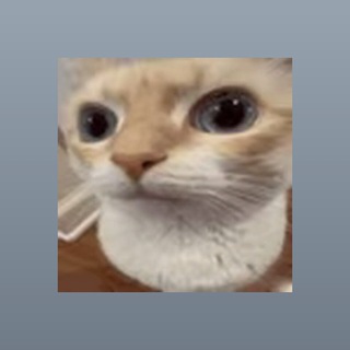 Telegram profile photo for Большой Кот
