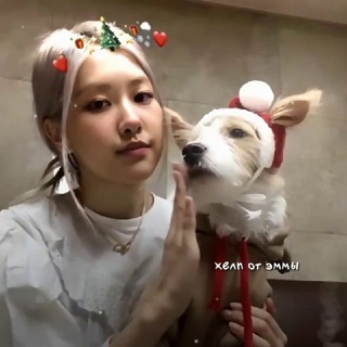 Telegram profile photo for (( EMM#X 🎄