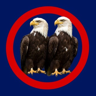 Telegram profile photo for Лютый антизападник