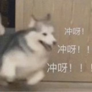 Telegram profile photo for 飞机社区_打新金白名单