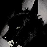 Telegram profile photo for no strings attached.