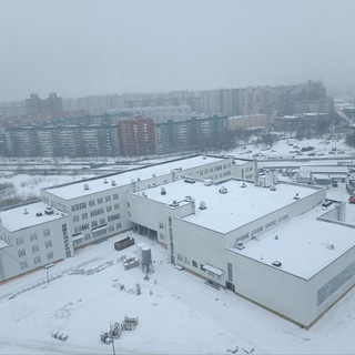 Telegram profile photo for Канал Морской лицей, корпус "Чайка" (СПб, пр. Королева 55)